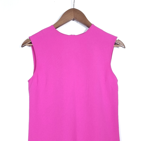 Victoria Beckham Target Fuchsia White Trim Dress - Picture 5 of 9